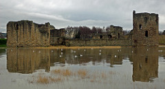 Flint Castle At (Very) High Tide