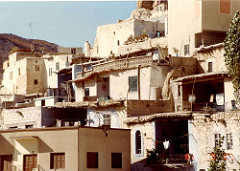 Salalah  to  Somerset  1982  :  Syria