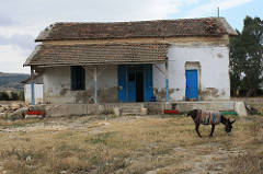 Tunisia Staff Ride - U.S. Army Africa Soldiers apply WWII North Africa campaign lessons to current mission - May 2010