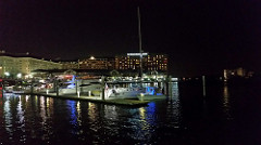 The Westin Tampa Harbour Island