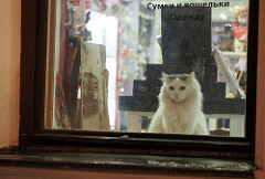 Нижний Новгород / Nizhniy Novgorod