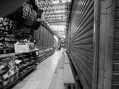 Backlight & Lines | Hatyai 2015