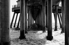 Under the Pier