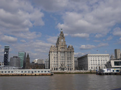 The Liver Building