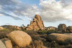 Joshua Tree National Park