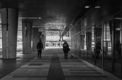 contrary (International Black & White Challenge 1/5)