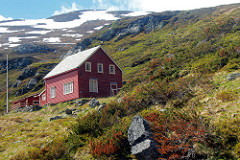 Flåm_2013 06 03_3101