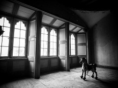 borads.ie photography group.