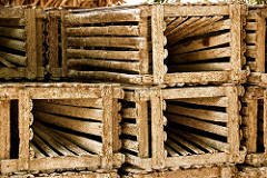 Belize - Caye Caulker