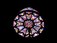 The knight and the rose