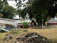 Fernando de Noronha 08