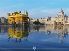 Golden Temple by Jibran Bin Dawood