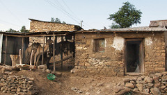 Camel Power, Axum, Ethiopia