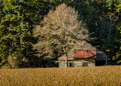 On the road to Hurdle Mills