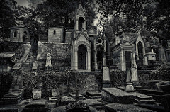 Montmartre cemetery - Paris