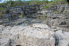 Calcarenitic eolianite (Hanna Bay Member, Rice Bay Formation, Holocene; Graham