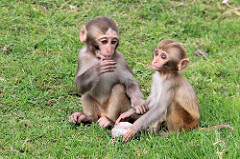 Longleat Safari & Adventure Park 24-09-2013