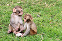 Longleat Safari & Adventure Park 24-09-2013