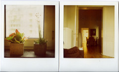 Gray days are here to stay...