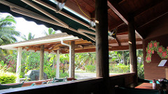 The Yellow Hibiscus, Palm Grove, Vaimaaga, Rarotonga (482121)