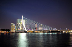 Rotterdam: Erasmus Bridge