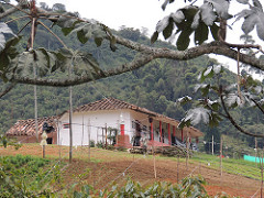 CORREGIMIENTO SAN CRISTÓBAL