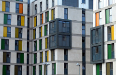 Year 2: 25/365: Rectangles