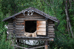 Alaska_2007 08 04_037