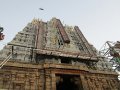 Tirumala Venkateswara Temple, Tirupati