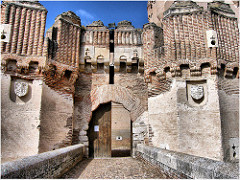 3831-Castillo de Coca (Segovia)