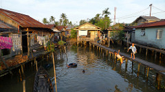 playtime in an aquatic 