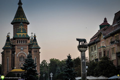 Timisoara