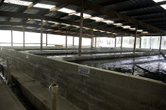 Prawn Farm interpretive sign