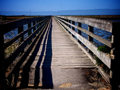 P5155960B Hayward Regional 20130515