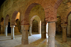 Bosque de piedra y ladrillo
