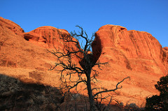 Orange/Red glowing from sunrise