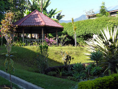 Flores: Ruteng to Bajawa