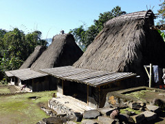 Flores: Bajawa to Riung