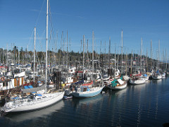 Marina, Comox