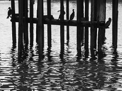 Caleta de Antofagasta