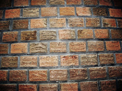 If These Walls Could Talk