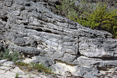 Calcarenitic eolianite (Hanna Bay Member, Rice Bay Formation, Holocene; Graham