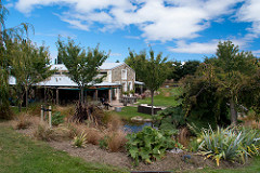 Northburn Station Vineyard