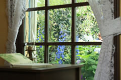 Botanical Garden- Emily Dickinson