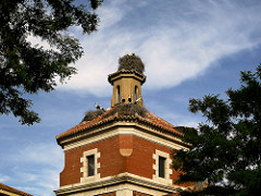 las cigueñas de la Iglesia de San Marcos