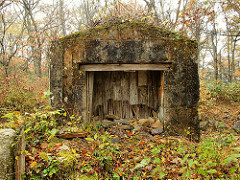 援人号1031便（紅葉の霊山）