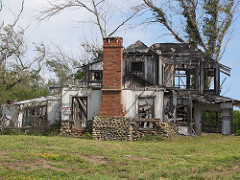 starr-120412-4585-Casuarina_equisetifolia-habitat_and_old_house-Waihee_Coastal_Preserve-Maui