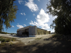 starr-150328-4427-Casuarina_equisetifolia-building-Sea_Plane_Hangar_Sand_Island-Midway_Atoll