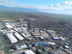 starr-141025-2603-Casuarina_equisetifolia-aerial_view_light_industrial-Kahului-Maui