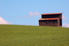 Scheune (Barn)